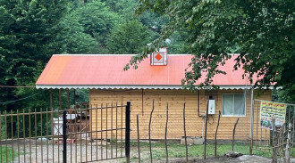 اجاره کلبه 2 خوابه جنگلی مادر