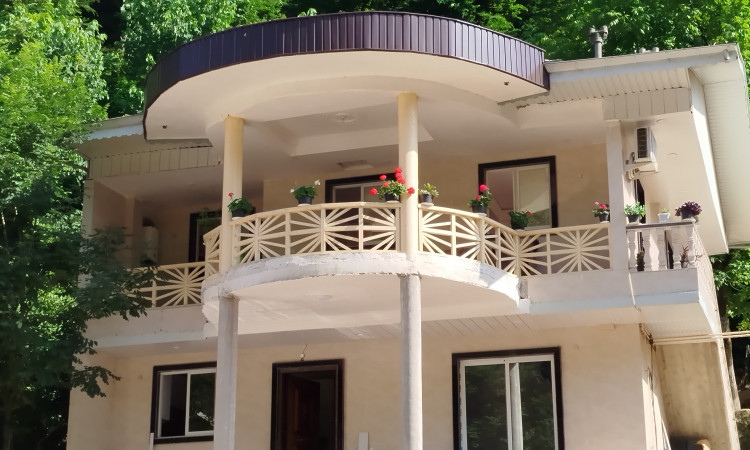 اجاره ویلای 2 خوابه جنگلی امیر