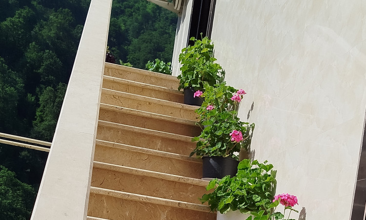اجاره ویلای 2 خوابه جنگلی امیر