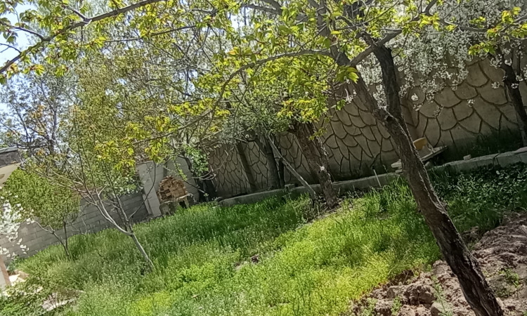 رزرو باغ ویلای 500 متری دلباز
