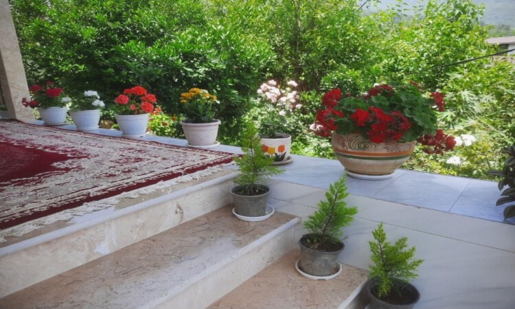 استئجار فيلا غابة غرفة في نهر