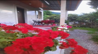 اجاره  ویلا جنگلی دو خواب کنار رودخانه