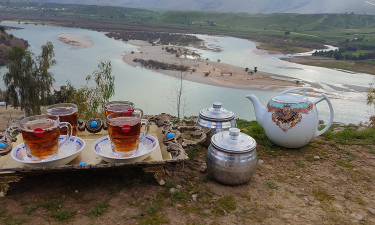 رزرو بومگردی دشت سوسن (اتاق انشان)با صبحانه