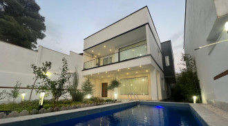 قصر الماس رودان الحديث