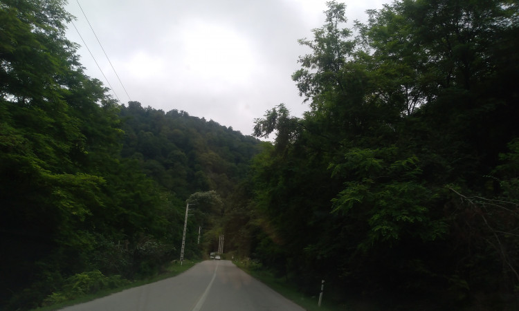 رزرو کلبه جنگلی دیزین لاویج