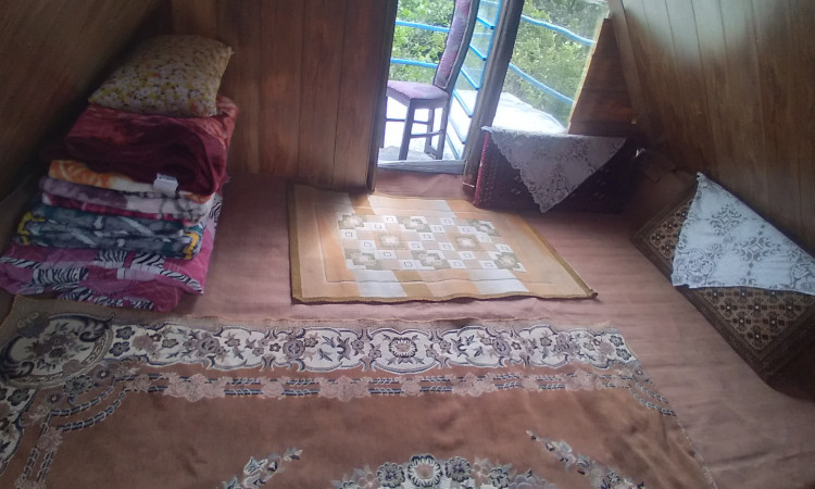 رزرو کلبه جنگلی دیزین لاویج