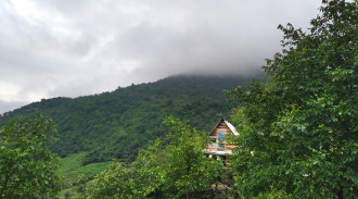 رزرو کلبه جنگلی دیزین لاویج