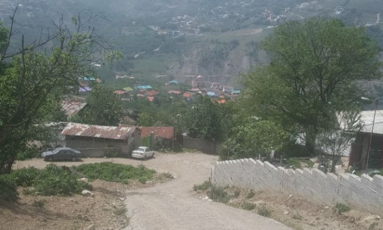 رزرو کلبه جنگلی دیزین لاویج