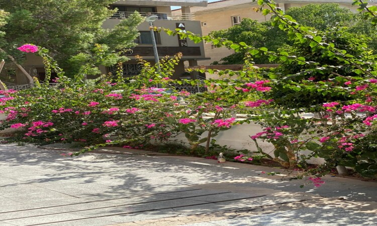 اجاره دوخوابه هيرمند3 چسبيده به بازار مرواريد