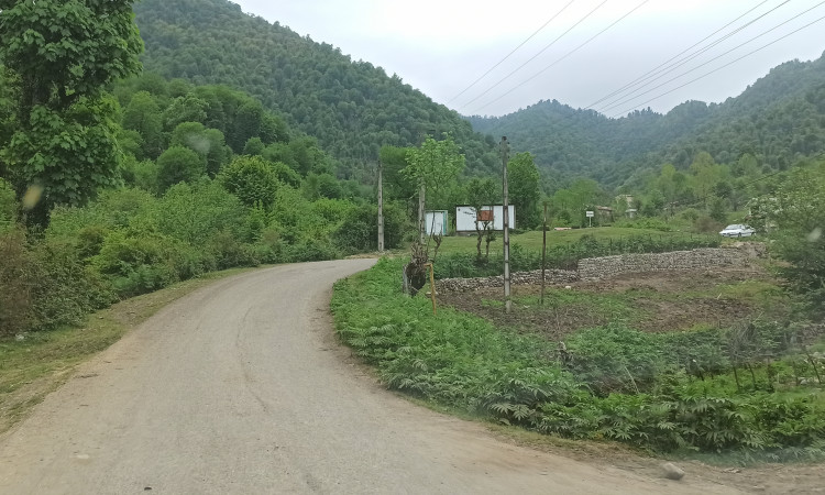 ویلای تراس دار جنگلی عمو نعمت 1