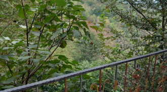 رزرو ویلای دربست بهار نارنج