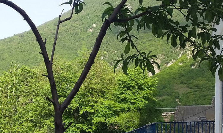 اجاره آپارتمان تک خواب روستای زیارت