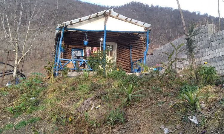 اجاره کلبه چوبی جنگلی دنج