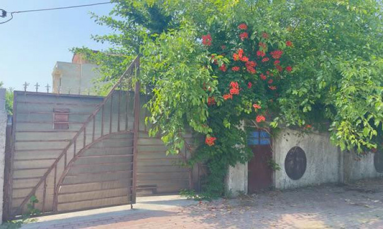 اجاره کلبه چوبی ساحلی شیک و تمیز نگین نوشهر لتینگان