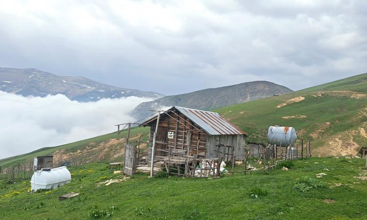 اجاره کلبه امین در ماسال