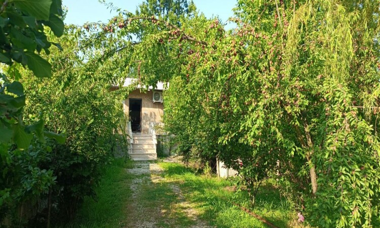 باغ ویلا سید