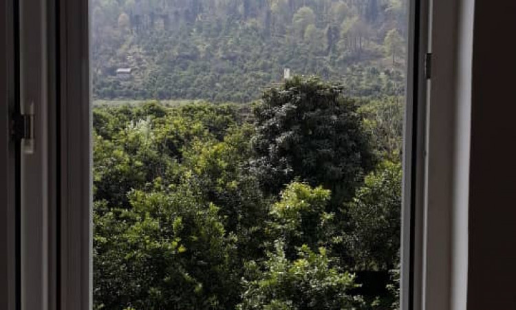 ویلای جنگلی در عباس آباد
