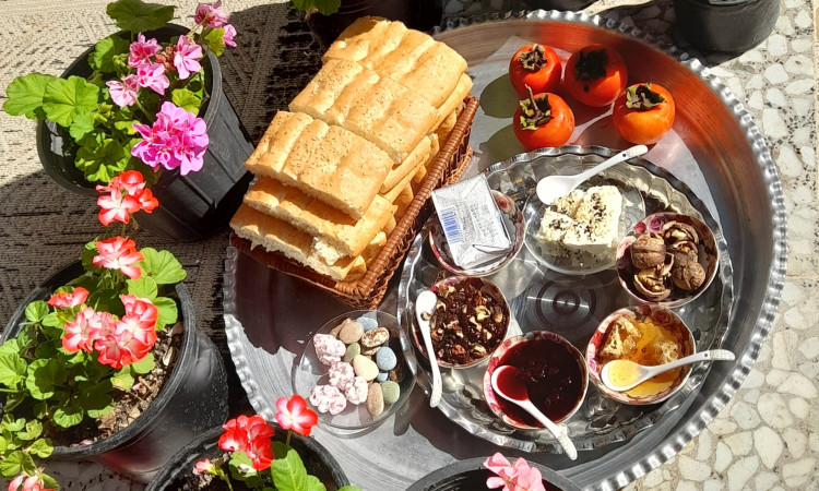 رزرو کلبه توسا دار