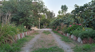 رزرو ویلای دریایی سه خوابه دربست