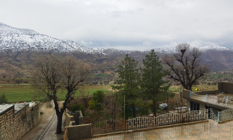 اجاره ویلا دربستی شولیز 2