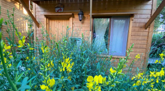 اجاره قصر چوبی بفرا اتاق یاس خلخال ازناو