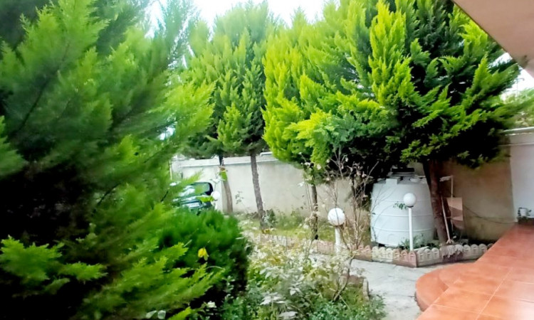 اجاره ویلا جنگلی آوا
