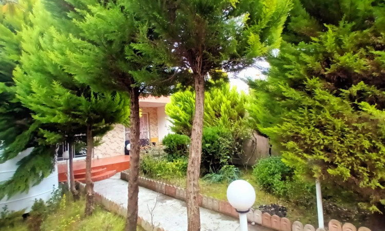 اجاره ویلا جنگلی آوا