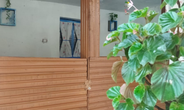 اجاره ویلا تکخوابه مرد کوچک