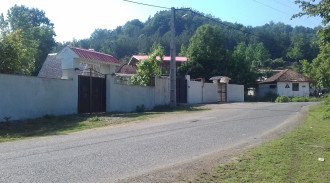 ویلا باغ جنگلی تکخوابه گلسار 2