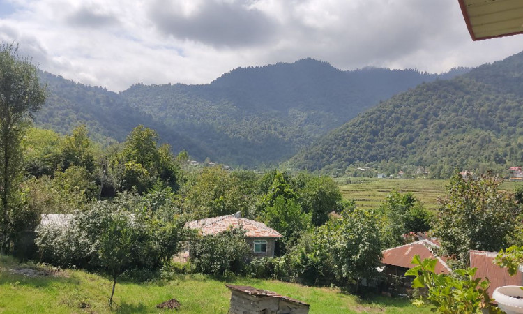 کلبه چوبی تکخوابه روستای ورمیه