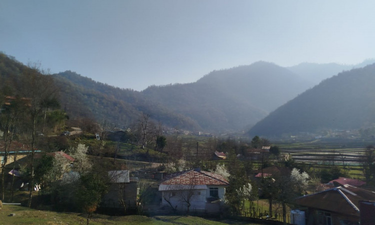 کلبه چوبی تکخوابه روستای ورمیه