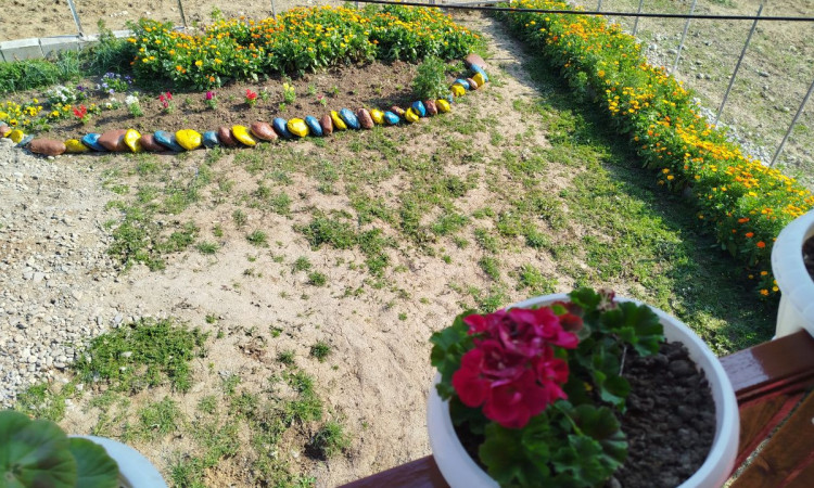 کلبه چوبی تکخوابه روستای ورمیه
