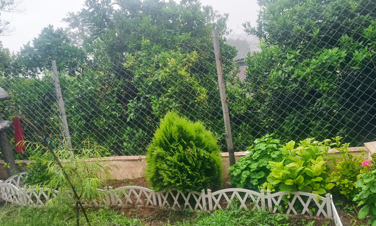 کلبه سوئیسی لفور-درازکلا