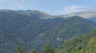 ویلا جنگلی 2 خوابه کوهسار