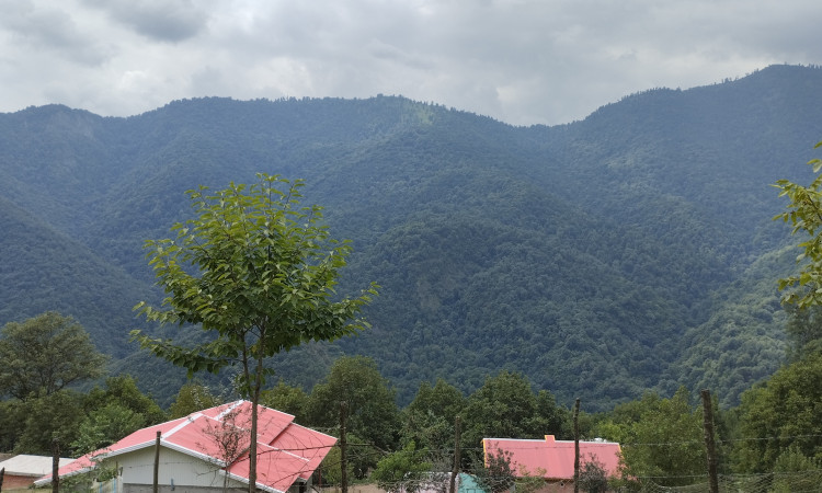 ویلا جنگلی 2 خوابه کوهسار