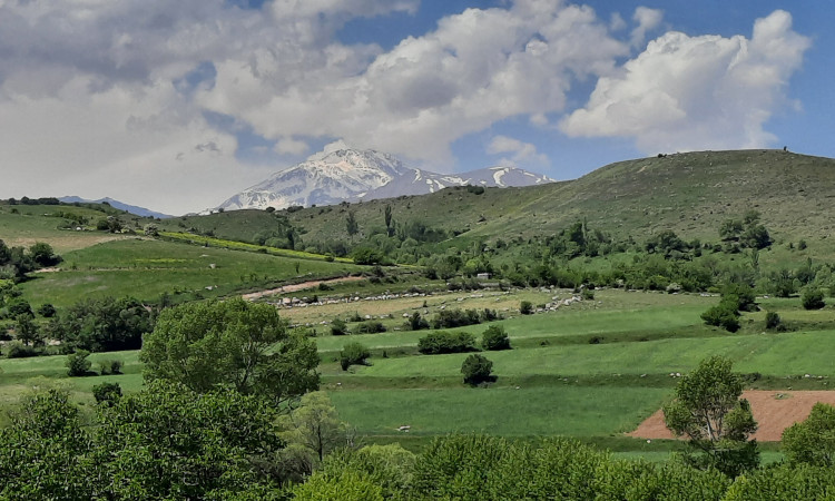 رزرو پردیس مادر اردبیل