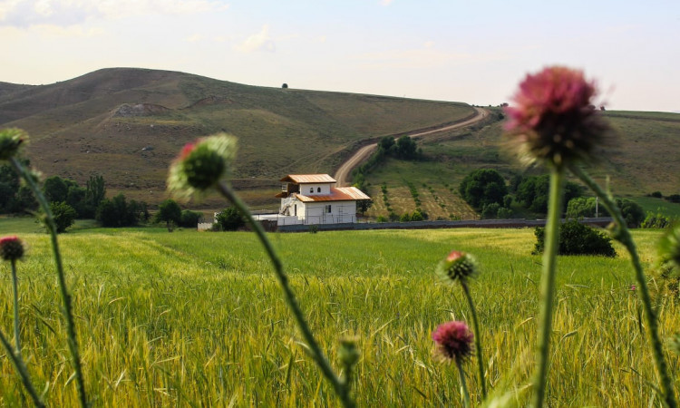 رزرو پردیس مادر اردبیل