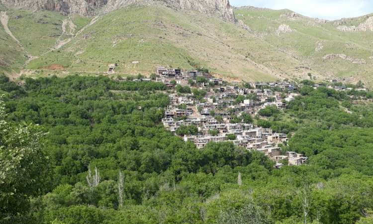 آپارتمان تکخوابه اقامتی ژین