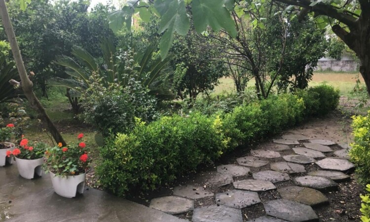 اجاره باغ ویلای نزدیک به دریا نیکوکار