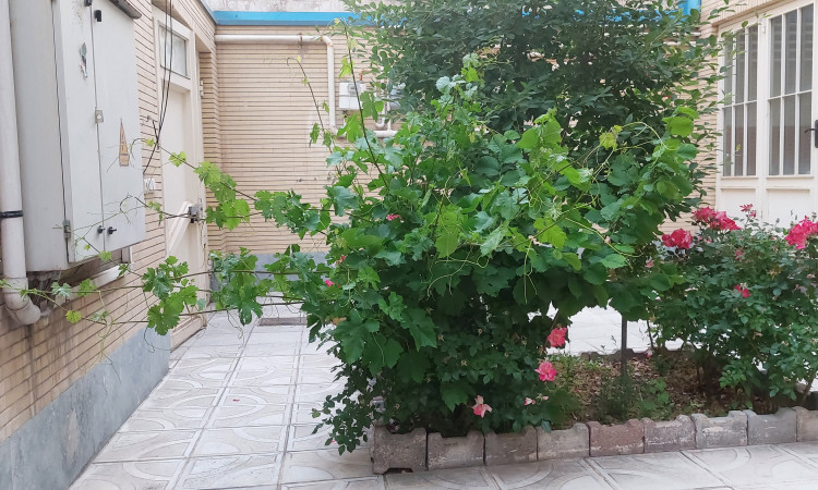 اجاره آپارتمان تک خوابه سباء
