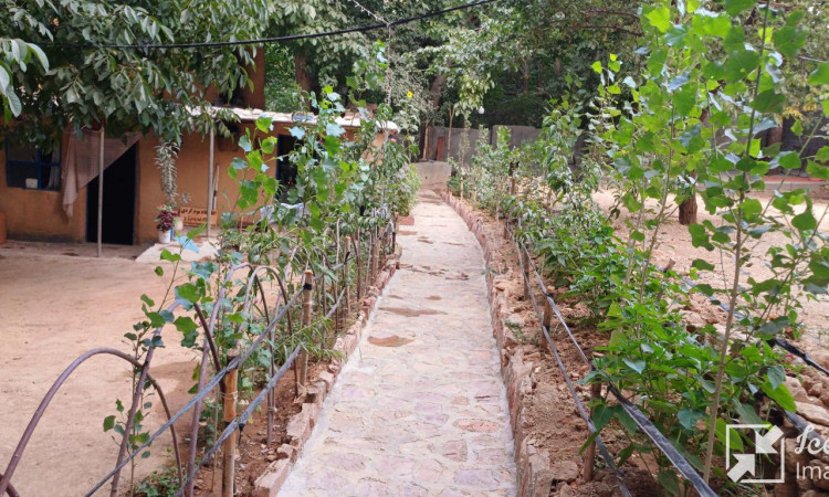 رزرو بوم گردی گلاویژ 3