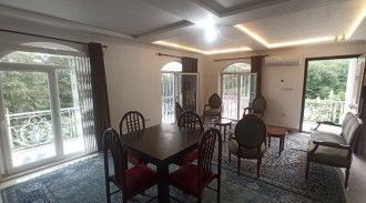 المناظر الطبيعية للغابات