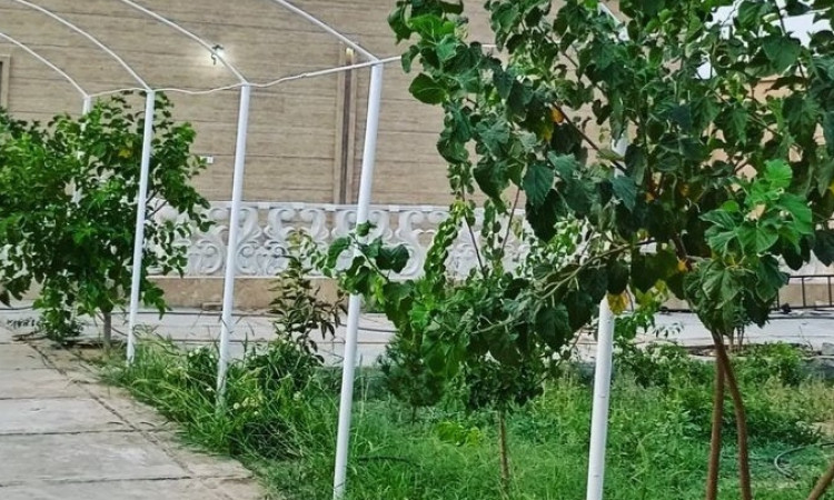 اجاره روزانه ویلا استخر روباز آب سرد
