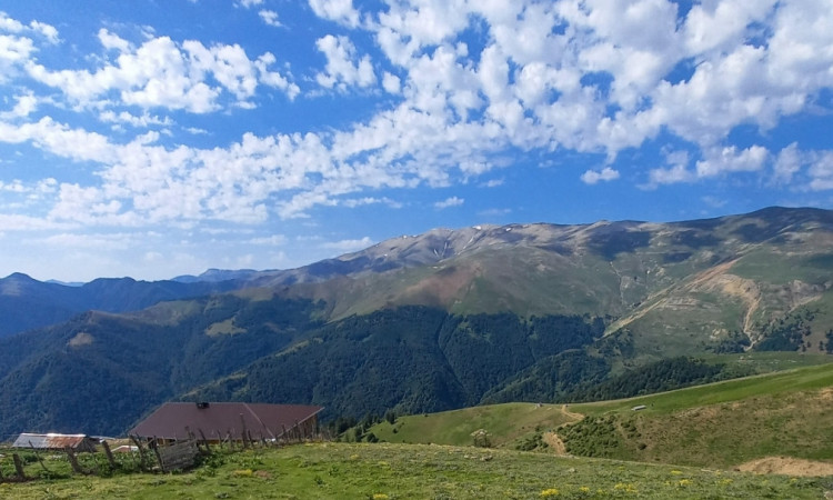 کلبه چوبی جنگلی ییلاق شنبه راه