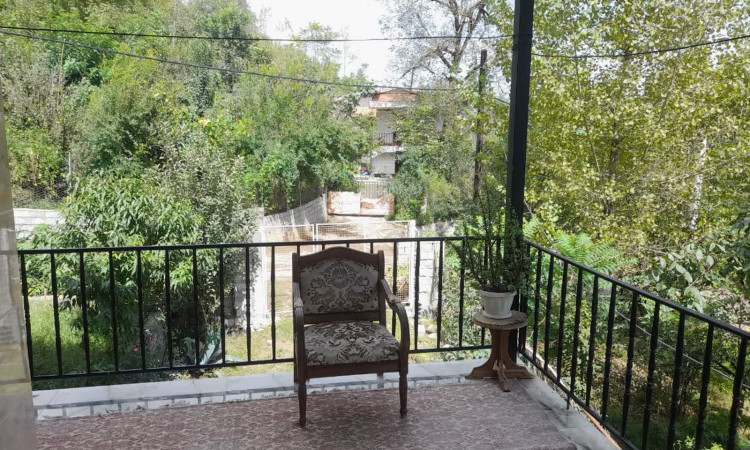 اجاره خانه ویلایی جنگلی دربست