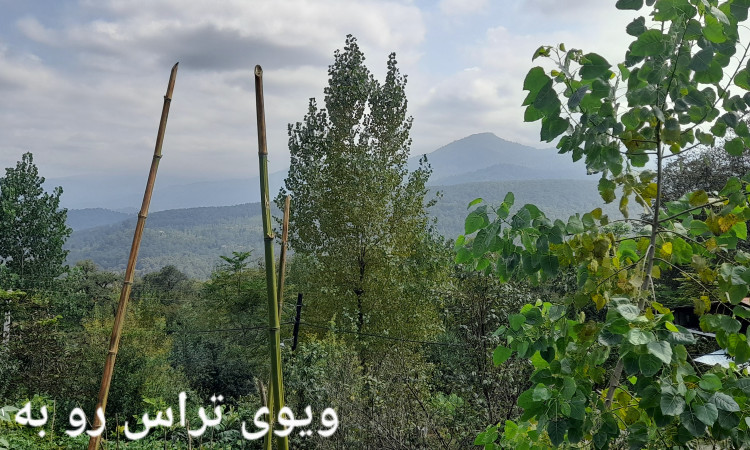 اجاره خانه ویلایی جنگلی دربست
