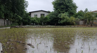 اجاره خونه باغ نیکوکار 1