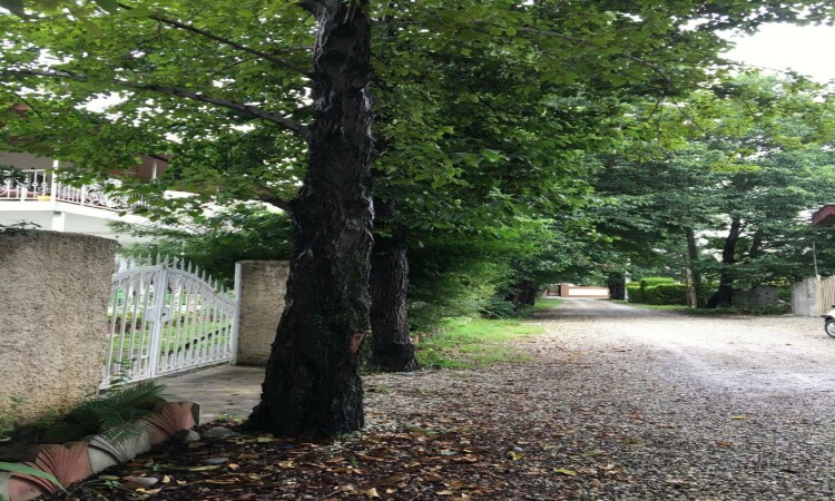 اجاره خونه باغ نیکوکار 1