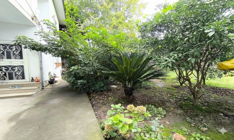 اجاره خونه باغ نیکوکار 1