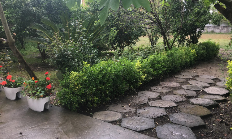 اجاره خونه باغ نیکوکار 1